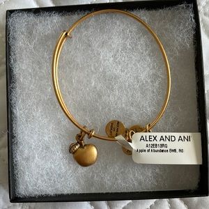 NWT Alex and Ani teacher bracelet